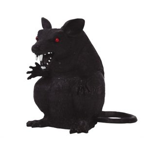 Guirca Fekete patkány