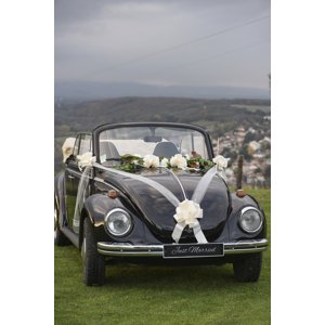 Santex Esküvői dekoráció - masni autóra