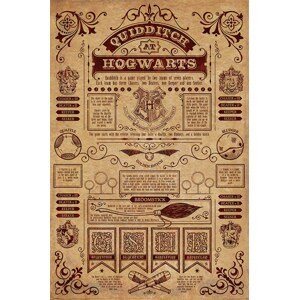 Pyramid Poszter Harry Potter - Quidditch in Hogwarts