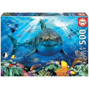 Puzzle Great White Shark Educa 500 darabos és Fix ragasztó 11 évtől