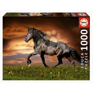 Puzzle Trotting Horse Educa 1000 darabos és Fix ragasztó